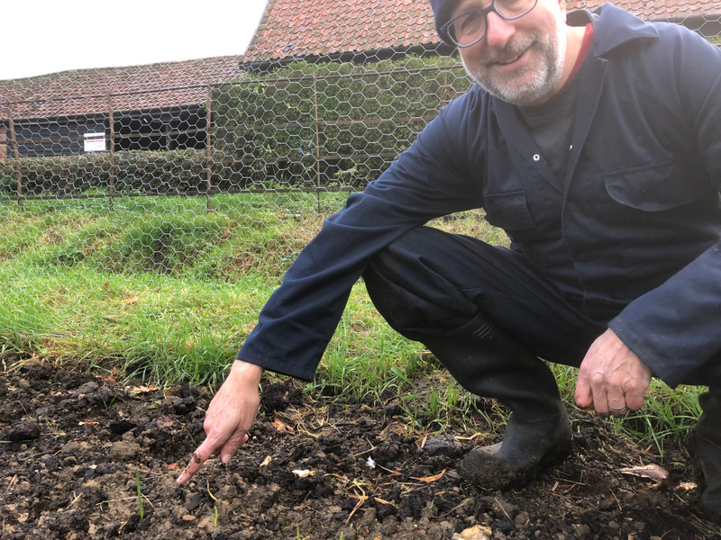 Neville gets round to weeding the Wonderpost Allotment