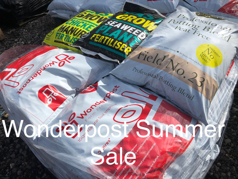 Wonderpost Summer Sale