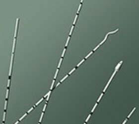 Bard - BRD 136506 - BX/10 URETERAL CATHETER,POLYURETHANE,OLIVE TIP W/ADAPTER,6FR X 70CM