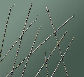 Bard - BRD 036103 - CS/1 CATH URETERAL WOVEN 3FR RADIOPAQUE WHISTLE TIP REUSABLE STERILE