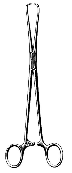 AMG - AMG 572-210 - EA/1 AMG SHROEDER TENACULUM FORCEPS, 10" (25.4CM)