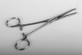 Medline - MDL MDS10536 - EA/1 KELLY FORCEPS 5 1/2" CURVED STAINLESS STEEL FLOOR GRADE