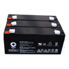 6 V 3.2 Ah. Terminal T1 Replacement Battery for MLA128080 (3 PACK)
