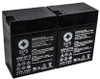 6 V 14 Ah Replacement Battery for Emergi-Lite 12LSM110 (2 PACK)
