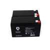 12V 7 Ah Replacement Battery for ONEAC ONM300DJ-SI UPS (2 PACK)
