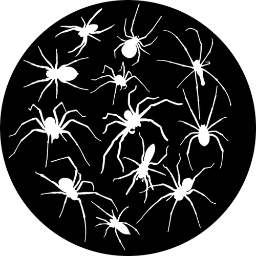 82937 Crawling Spiders
