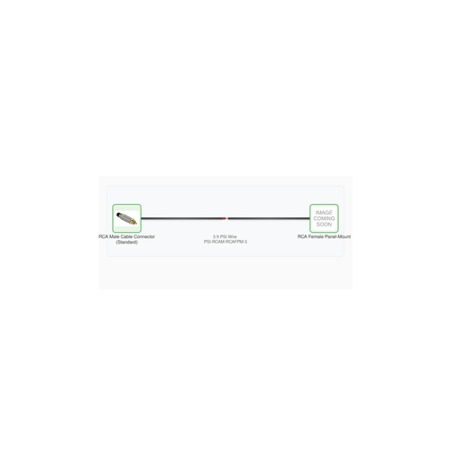 Cable Diagram - PSI-RCAM-RCAFPM-3--20260216-192020