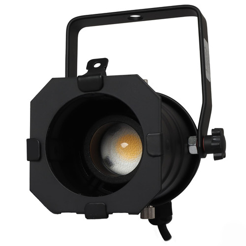 Black Aluminum Par 20 Light Fixture with Adjustable LED Bulb