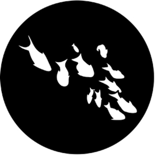 Rosco Fishes Steel Gobo 77559