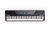 RECITAL PRO