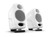 iLoud Micro Monitors