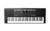 Harmony 61 Pro