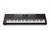 Harmony 61 Pro