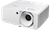 ZW521