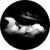 Rosco Storm Clouds Gobo 81184
