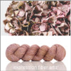 Pre-Order Look Within 'OASIS' DK