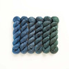 Pre-Order Shifted Hues 'LUSTER' SPORT MINI KIT