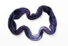 Pre-Order Belladonna Kiss 'RESILIENT' SOCK