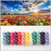 Pre-Order Connote Radiant Fairytale 12-Skein 'CASHSILK' SOCK KIT