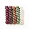 Ginger Whiskers Hues 'LUSTER' WORSTED MINI KIT