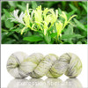 Honeysuckle Haze 'PEARLESCENT' WORSTED
