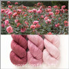 Brick Rose Hues 'YAK SILK' FINGERING KIT