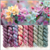 Pre-Order Wordless Wonder Hues 'SINCERE' SOCK MINI KIT