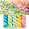 Oopsy Sunlit Nectar Hues 'FRONTIER' FINGERING KIT