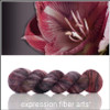 Amaryllis 'GOSSAMER SILK' LACE