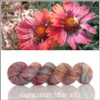Helenium 'GOSSAMER SILK' LACE