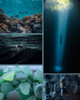 Pre-Order Sea Glass Memory (Dark Speckled) – June 2026 Insider's Yarn Club