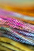 Birthday Secret No. 15 'CREMA' WORSTED - Limited Edition