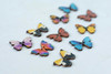 The Painted Wings Mid-Month Club June 2026 (Plus Bag & Buttons)