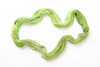 August Peridot 'OASIS' DK