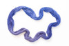 December Tanzanite 'OASIS' DK