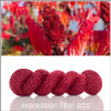 Wild Sumac 'SPARKLE' DK