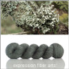 Lichen 'BEACON' DK