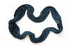 Tree Swallow 'CREMA' WORSTED - Limited Edition