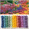 Butterfly Garden Hues 'LUSTER' SPORT MINI KIT