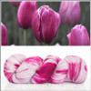Tulip 'YAK SILK' LACE