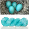 ROBIN'S EGG BLUE 'RESILIENT' SOCK