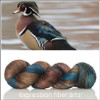 Wood Duck 'ALPACA SILK' DK