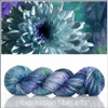 November Chrysanthemum 'PEARLESCENT' WORSTED