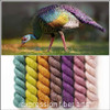 Pre-Order Ocellated Turkey Hues 'LUSTER' SPORT MINI KIT