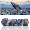 Humpback Whale 'TWISTED TWEED' SPORT