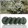 Pre-Order Lichen 'MIRAGE' SPORT