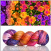 Colorful Chrysanthemum 'PEARLESCENT' FINGERING