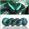 Emerald Swallowtail 'PEARLESCENT' FINGERING' 