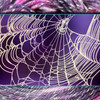 Web – October 2022 Insider's Yarn Club