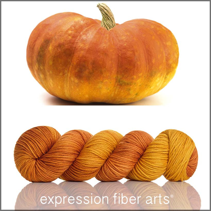 Fairytale Pumpkin 'ENDURING' WORSTED - Expression Fiber Arts